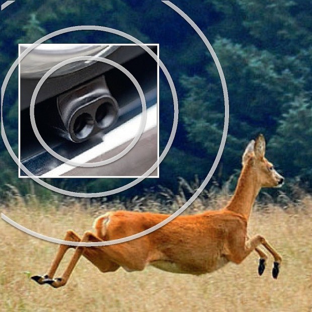 2 These Deer Whistles Will Help Save Animals from Getting Runover