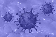 A Coronavirus Side Effect: Lots of Lawsuits