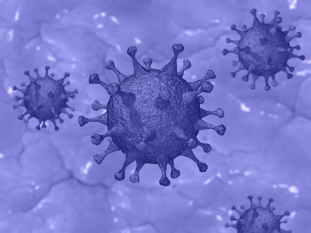 A Coronavirus Side Effect: Lots of Lawsuits