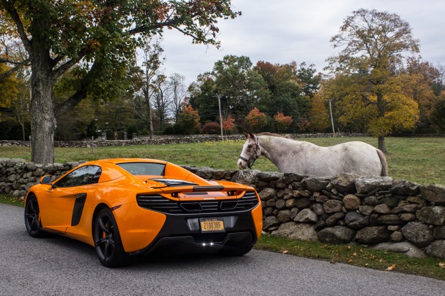 The 2015 McLaren 650S makes a friend The 2015 McLaren 650S makes a friend
